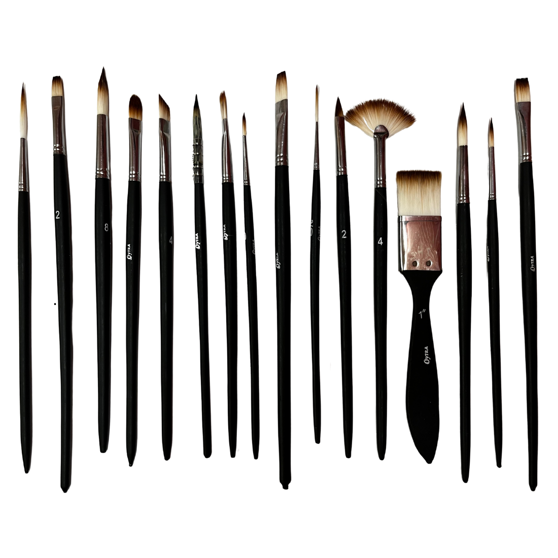 All in One Brushes Set of 16