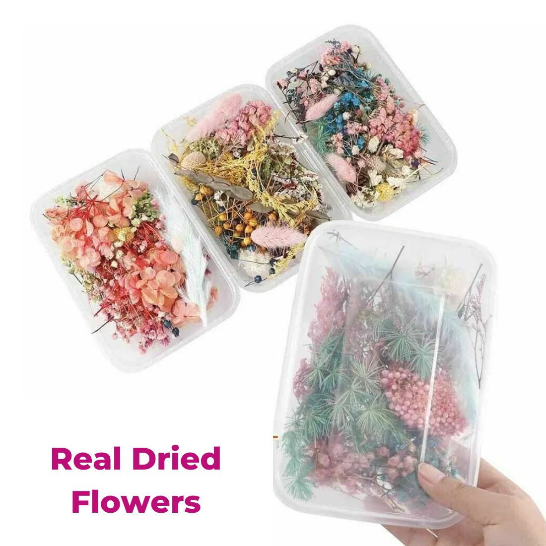 Natural Real Dried Flower Box for Resin Art (1 Box)