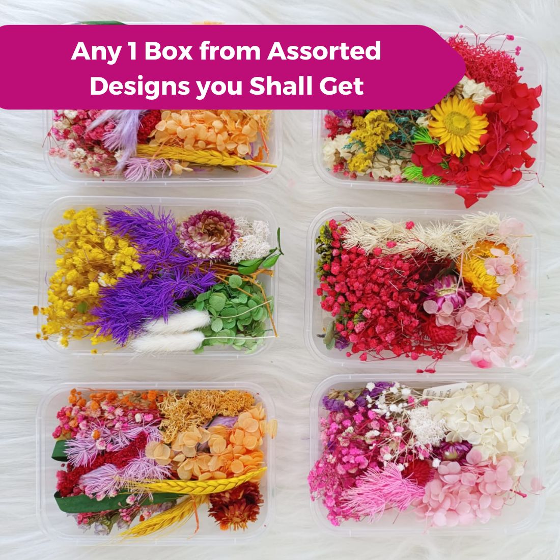 Natural Real Dried Flower Box for Resin Art (1 Box)