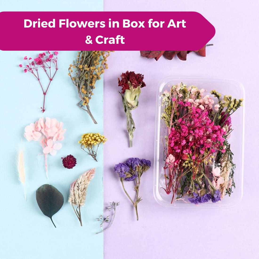Natural Real Dried Flower Box for Resin Art (1 Box)