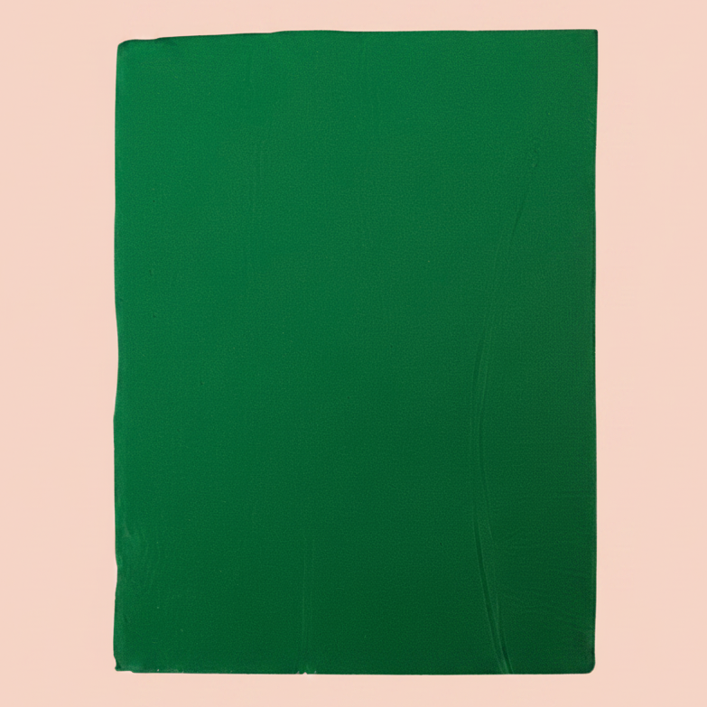 500g Polymer Clay SIGNATURE Series (16 Forest Green)