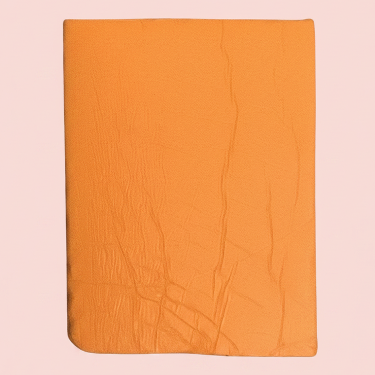 500g Polymer Clay SIGNATURE Series (37 Neon Orange)