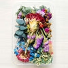 Natural Real Dried Flower Box for Resin Art (1 Box)