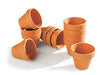 Oytra Dozen Set of 2 Clay Air Dry Terracotta - 250 Grams Each of Brown and White
