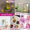 Natural Real Dried Flower Box for Resin Art (1 Box)