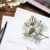 Oytra Fine liners Colour Pens 36 Set for Mandala Art Sketching Interior