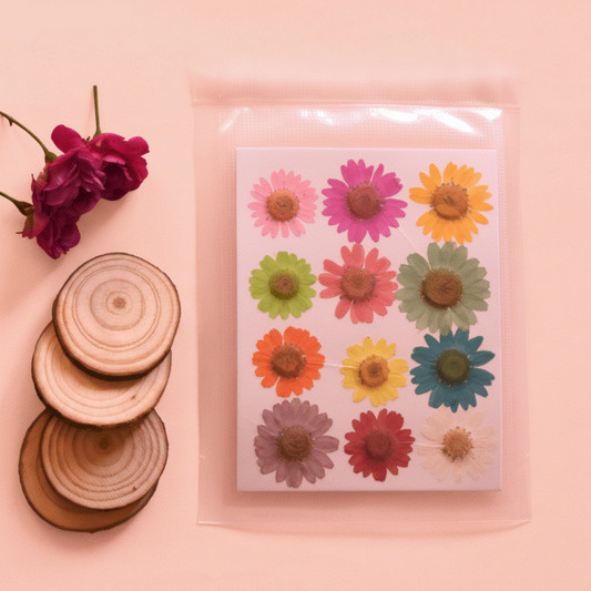 12 Dried Press Flower Daisy Sheet (1 Sheet Only)