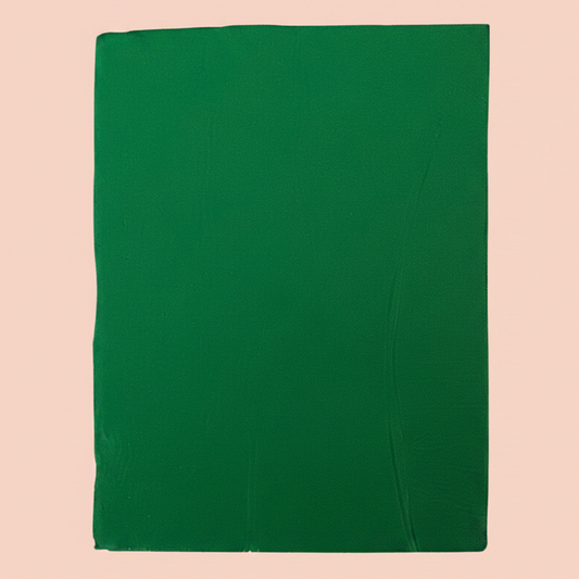 500g Polymer Clay SIGNATURE Series (16 Forest Green)
